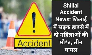 Shillai Accident News: शिलाई में सड़क हादसे में दो महिलाओं की मौ*त, तीन घायल ddnewsportal.com