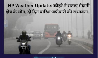 HP Weather Update: कोहरे ने सताए मैदानी क्षेत्र के लोग, दो दिन बारिश-बर्फबारी की संभावना... ddnewsportal.com
