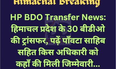 HP BDO Transfer News: हिमाचल प्रदेश के 30 बीडीओ की ट्रांसफर, पढ़ें पाँवटा साहिब सहित... ddnewsportal.com