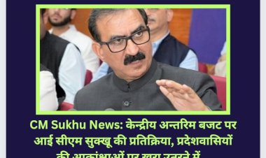 CM Sukhu News: केन्द्रीय अन्तरिम बजट पर आई सीएम सुक्खू की प्रतिक्रिया... ddnewsportal.com