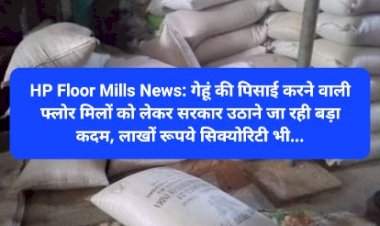 HP Floor Mills News: गेहूं की पिसाई करने वाली फ्लोर मिलों को लेकर सरकार उठाने जा रही बड़ा कदम... ddnewsportal.com