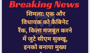 शिमला: एक और विधायक को कैबिनेट रैंक, किला मजबूत करने में जुटे सीएम सुक्खू, इनको बनाया मुख्य सचेतक... ddnewsportal.com