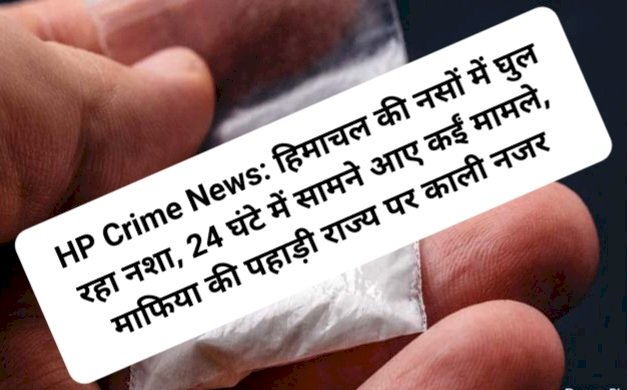 HP Crime News: हिमाचल की नसों में घुल रहा नशा, माफिया की पहाड़ी राज्य पर काली नजर  ddnewsportal.com