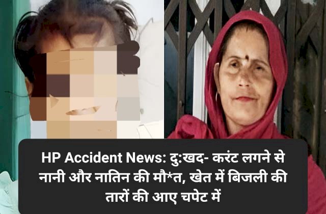 HP Accident News: दु:खद- करंट लगने से नानी और नातिन की मौ*त, खेत में बिजली की तारों की आए चपेट में ddnewsportal.com