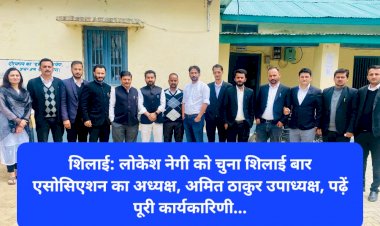 शिलाई: लोकेश नेगी को चुना शिलाई बार एसोसिएशन का अध्यक्ष, अमित ठाकुर उपाध्यक्ष, पढ़ें पूरी कार्यकारिणी... ddnewsportal.com