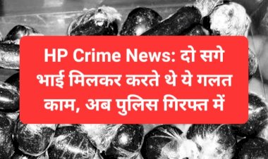HP Crime News: दो सगे भाई मिलकर करते थे ये गलत काम, अब पुलिस गिरफ्त में  ddnewsportal.com