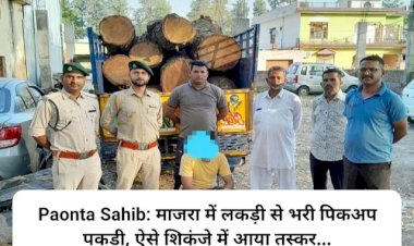 Paonta Sahib: माजरा में लकड़ी से भरी पिकअप पकड़ी, ऐसे शिकंजे में आया तस्कर... ddnewsportal.com