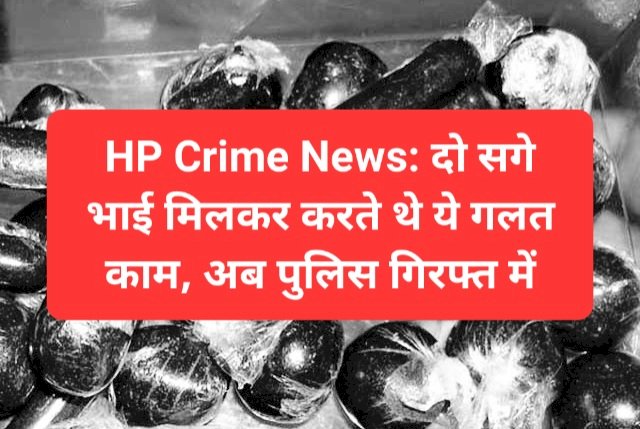 HP Crime News: दो सगे भाई मिलकर करते थे ये गलत काम, अब पुलिस गिरफ्त में  ddnewsportal.com