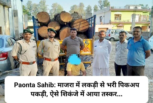 Paonta Sahib: माजरा में लकड़ी से भरी पिकअप पकड़ी, ऐसे शिकंजे में आया तस्कर... ddnewsportal.com