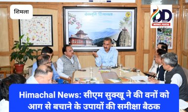 Himachal News: सीएम सुक्खू ने की वनों को आग से बचाने के उपायों की समीक्षा बैठक ddnewsportal.com