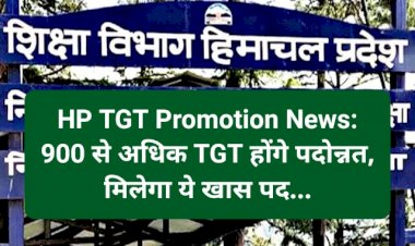 HP TGT Promotion News: 900 से अधिक TGT होंगे पदोन्नत, मिलेगा ये खास पद... ddnewsportal.com