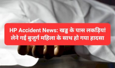 HP Accident News: खड्ड के पास लकड़ियां लेने गई बुजुर्ग महिला के साथ हो गया हादसा ddnewsportal.com