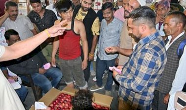 HP Apple Season News: हिमाचल में आज से शुरु हुआ सेब सीजन, 1500 से 1800 तक रेट...  ddnewsportal.com