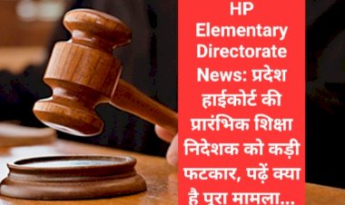 HP Elementary Directorate News: प्रदेश हाईकोर्ट की प्रारंभिक शिक्षा निदेशक को कड़ी फटकार, पढ़ें क्या है पूरा मामला...  ddnewsportal.com