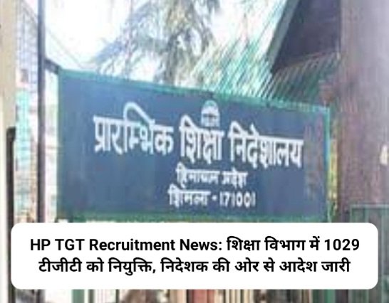 HP TGT Recruitment News: शिक्षा विभाग में 1029 टीजीटी को नियुक्ति, निदेशक की ओर से आदेश जारी ddnewsportal.com