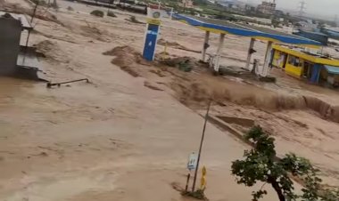 HP Monsoon News: एक ही दिन में 12 की मौ*त, जलप्रलय से हिमाचल फिर बेहाल, हर तरफ तबाही के मंजर ddnewsportal.com