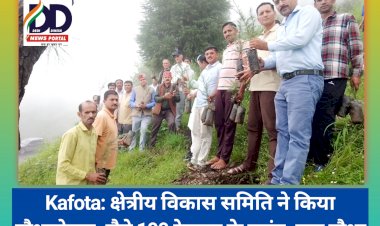 Kafota: क्षेत्रीय विकास समिति ने किया पौधारोपण, रौपे 100 देवदार के प्लांट, एक पौधा गुड्डू की याद में भी ddnewsportal.com