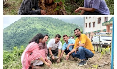 Paonta Sahib: भरली कॉलेज के छात्र-छात्राओं-स्टाॅफ ने किया पौधारोपण, लगाए 100 से अधिक पौधे  ddnewsportal.com