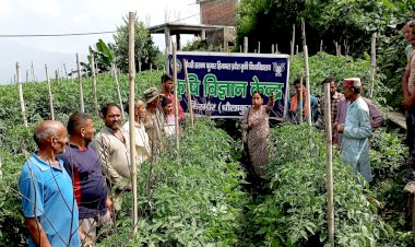 गिरिपार: कफोटा-जाखना-शरली में KVK धोलाकुंआ और पशुपालन विभाग के जागरूकता शिविर ddnewsportal.com