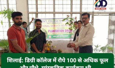 शिलाई: डिग्री कॉलेज में रौपे 100 से अधिक फूल और पौधे, सांस्कृतिक कार्यक्रम भी... ddnewsportal.com