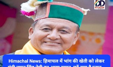 Himachal News: हिमाचल में भांग की खेती को लेकर मंत्री जगत सिंह नेगी का आया बयान, पढ़ें क्या है प्लान... ddnewsportal.com