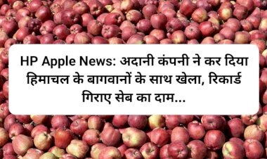 HP Apple News: अदानी कंपनी ने कर दिया हिमाचल के बागवानों के साथ खेला, रिकार्ड गिराए सेब का दाम... ddnewsportal.com