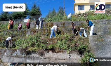 Shillai: NSS स्वयंसेवकों ने काटी स्टाफ और प्रिंसिपल रेजिडेंस के इर्द-गिर्द बरसात में उगी झाड़ियां ddnewsportal.com