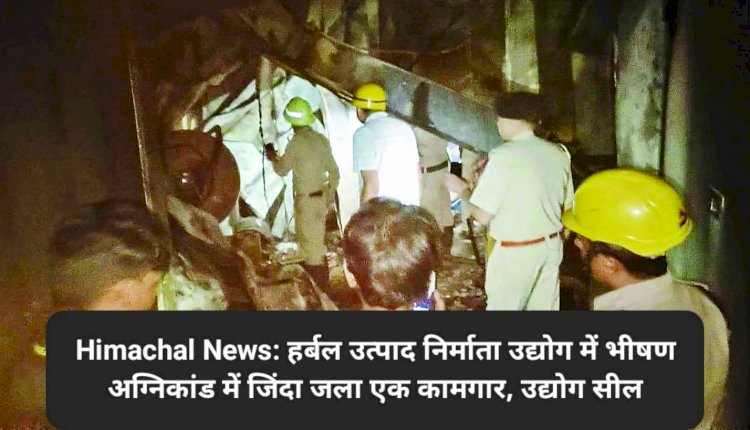 Himachal News: हर्बल उत्पाद निर्माता उद्योग में भीषण अग्निकांड में जिंदा जला एक कामगार, उद्योग सील ddnewsportal.com