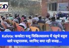 Kafota: कफोटा पशु चिकित्सालय में पंहुचे बहुत सारे पशुपालक, जानिए क्या रही वजह... ddnewsportal.com