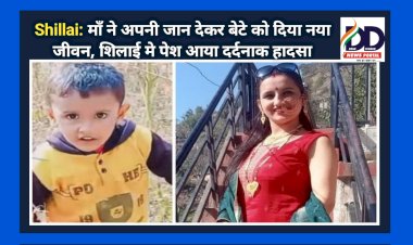 Shillai: माँ ने अपनी जान देकर बेटे को दिया नया जीवन, शिलाई मे पेश आया दर्द*नाक हादसा  ddnewsportal.com