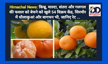 Himachal News: किन्नू, माल्टा, संतरा और गलगल की फसल को बेचने को खुले 54 विक्रय केंद्र ddnewsportal.com