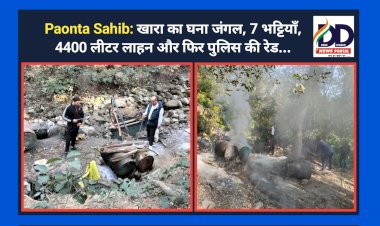 Paonta Sahib: खारा का घना जंगल, 7 भट्टियाँ, 4400 लीटर लाहन और फिर पुलिस की रेड... ddnewsportal.com