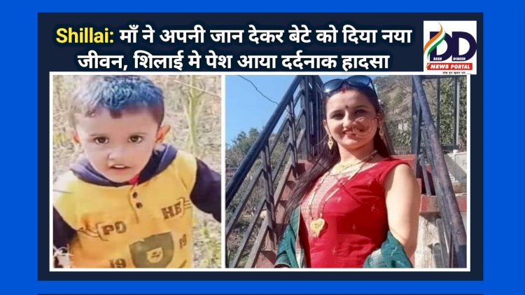 Shillai: माँ ने अपनी जान देकर बेटे को दिया नया जीवन, शिलाई मे पेश आया दर्द*नाक हादसा ddnewsportal.com