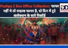Pushpa 2 Box Office Collection: फायर नहीं ये तो वाइल्ड फायर है, दो दिन में टूटे कलेक्शन के सारे रिकाॅर्ड ddnewsportal.com