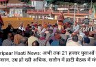 Giripaar Haati News: अभी तक 21 हजार युवाओं को नुकसान, उम्र हो रही अधिक, सतौन में हाटी बैठक में मंथन ddnewsportal.com