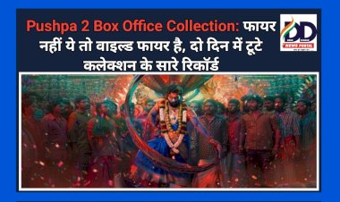 Pushpa 2 Box Office Collection: फायर नहीं ये तो वाइल्ड फायर है, दो दिन में टूटे कलेक्शन के सारे रिकाॅर्ड ddnewsportal.com