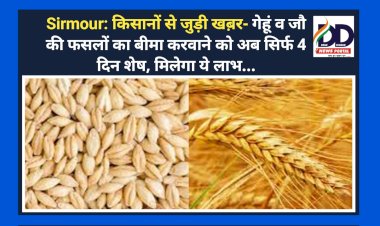 Sirmour: किसानों से जुड़ी खब़र- गेहूं व जौ की फसलों का बीमा करवाने को अब सिर्फ 4 दिन शेष, मिलेगा ये लाभ... ddnewsportal.com