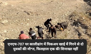 शिलाई: एनएच-707 पर कालीढांग में पिकअप खाई में गिरने से दो युवकों की मौ*त, फिलहाल एक की शिनाख्त नहीं ddnewsportal.com