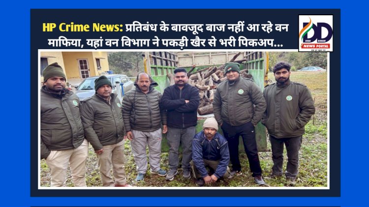 HP Crime News: प्रतिबंध के बावजूद बाज नहीं आ रहे वन माफिया, यहां वन विभाग ने पकड़ी खैर से भरी पिकअप... ddnewsportal.com