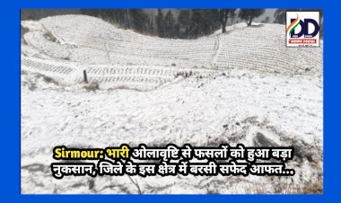 Sirmour: भारी ओलावृष्टि से फसलों को हुआ बड़ा नुकसान, जिले के इस क्षेत्र में बरसी सफेद आफत... ddnewsportal.com