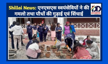 Shillai News: एनएसएस स्वयंसेवियों ने की गमलो तथा पौधों की गुड़ाई एवं सिंचाई ddnewsportal.com