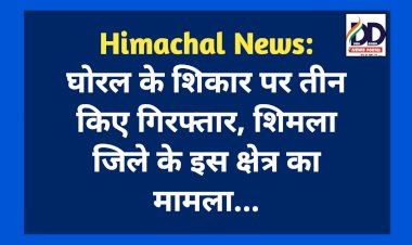 Himachal News: घोरल के शिकार पर तीन किए गिरफ्तार, शिमला जिले के इस क्षेत्र का मामला...