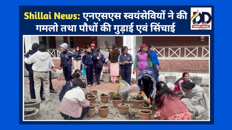 Shillai News: एनएसएस स्वयंसेवियों ने की गमलो तथा पौधों की गुड़ाई एवं सिंचाई ddnewsportal.com