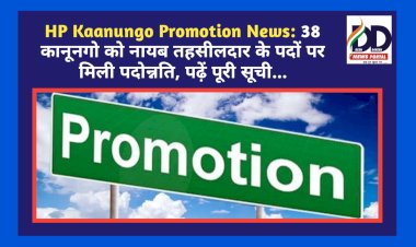 HP Kaanungo Promotion News: 38 कानूनगो को नायब तहसीलदार के पदों पर मिली पदोन्नति, पढ़ें पूरी सूची... ddnewsportal.com