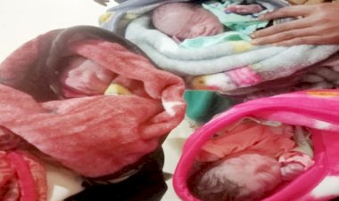 Himachal News: अद्भुत- महिला ने एक साथ 3 बच्चों को दिया जन्म, तीनों स्वस्थ ddnewsportal.com