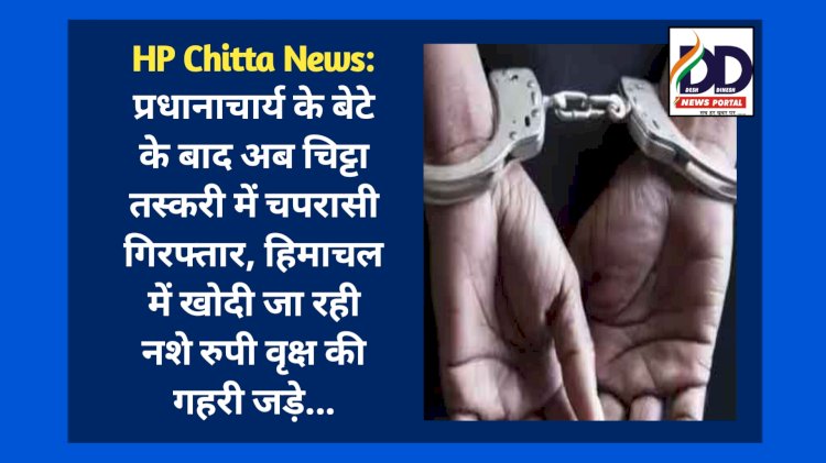 HP Chitta News: प्रधानाचार्य के बेटे के बाद अब चिट्टा तस्करी में चपरासी गिरफ्तार, हिमाचल में खोदी जा रही नशे रुपी वृक्ष की गहरी जड़े... ddnewsportal.com
