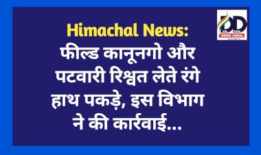 Himachal News: फील्ड कानूनगाे और पटवारी रिश्वत लेते रंगे हाथ पकड़े, इस विभाग ने की कार्रवाई...   ddnewsportal.com