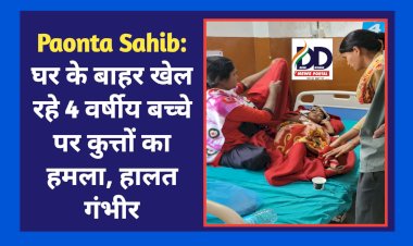 Paonta Sahib: घर के बाहर खेल रहे 4 वर्षीय बच्चे पर कुत्तों के झुंड ने किया हमला, हालत गंभीर ddnewsportal.com