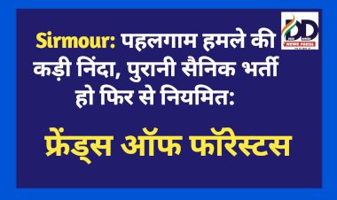 Sirmour: पहलगाम हमले की कड़ी निंदा, पुरानी सैनिक भर्ती हो फिर से नियमित: फ्रेंड्स ऑफ फॉरेस्टस  ddnewsportal.com
