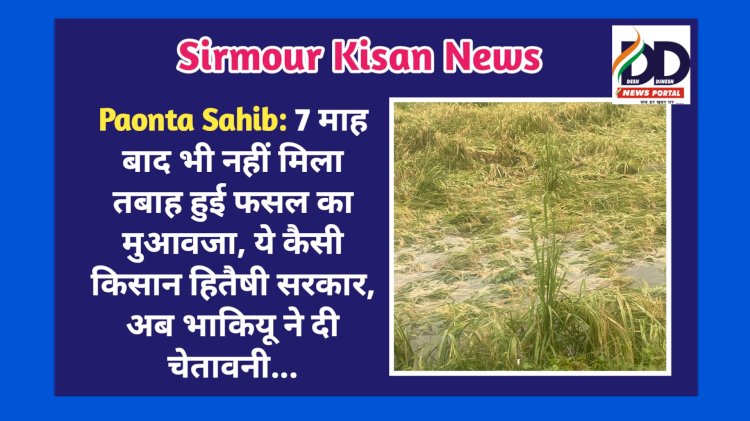 Paonta Sahib: 7 माह बाद भी नहीं मिला तबाह हुई फसल का मुआवजा, ये कैसी किसान हितैषी सरकार, अब भाकियू ने दी चेतावनी... ddnewsportal.com